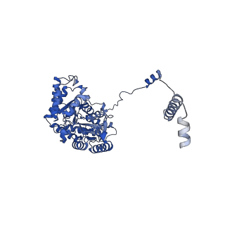 22602_7k0m_A_v1-1
Human serine palmitoyltransferase complex SPTLC1/SPLTC2/ssSPTa/ORMDL3, class 1