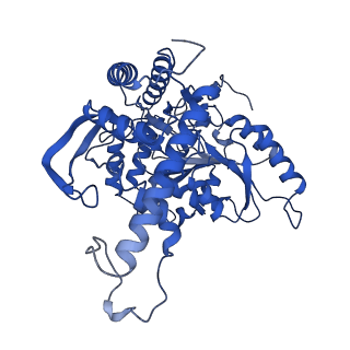 22602_7k0m_B_v1-1
Human serine palmitoyltransferase complex SPTLC1/SPLTC2/ssSPTa/ORMDL3, class 1