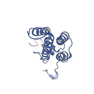 22602_7k0m_D_v1-1
Human serine palmitoyltransferase complex SPTLC1/SPLTC2/ssSPTa/ORMDL3, class 1
