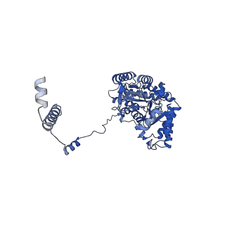 22602_7k0m_E_v1-1
Human serine palmitoyltransferase complex SPTLC1/SPLTC2/ssSPTa/ORMDL3, class 1