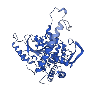 22602_7k0m_F_v1-1
Human serine palmitoyltransferase complex SPTLC1/SPLTC2/ssSPTa/ORMDL3, class 1