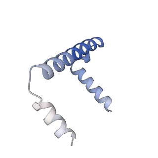 22602_7k0m_G_v1-1
Human serine palmitoyltransferase complex SPTLC1/SPLTC2/ssSPTa/ORMDL3, class 1