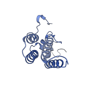 22602_7k0m_H_v1-1
Human serine palmitoyltransferase complex SPTLC1/SPLTC2/ssSPTa/ORMDL3, class 1