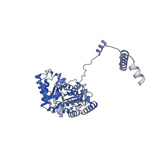 22604_7k0n_A_v1-1
Human serine palmitoyltransferase complex SPTLC1/SPLTC2/ssSPTa/ORMDL3, class 2
