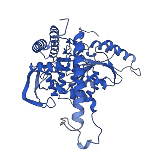 22604_7k0n_B_v1-1
Human serine palmitoyltransferase complex SPTLC1/SPLTC2/ssSPTa/ORMDL3, class 2