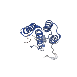22604_7k0n_D_v1-1
Human serine palmitoyltransferase complex SPTLC1/SPLTC2/ssSPTa/ORMDL3, class 2