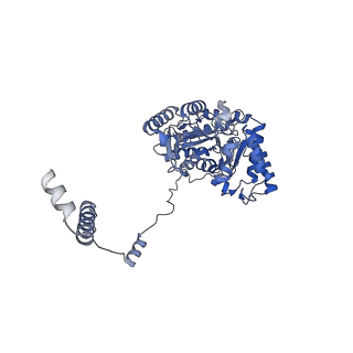 22604_7k0n_E_v1-1
Human serine palmitoyltransferase complex SPTLC1/SPLTC2/ssSPTa/ORMDL3, class 2