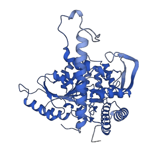 22604_7k0n_F_v1-1
Human serine palmitoyltransferase complex SPTLC1/SPLTC2/ssSPTa/ORMDL3, class 2