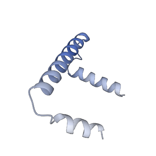 22604_7k0n_G_v1-1
Human serine palmitoyltransferase complex SPTLC1/SPLTC2/ssSPTa/ORMDL3, class 2
