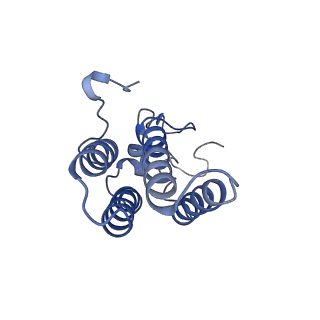 22604_7k0n_H_v1-1
Human serine palmitoyltransferase complex SPTLC1/SPLTC2/ssSPTa/ORMDL3, class 2