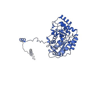 22605_7k0o_A_v1-1
Human serine palmitoyltransferase complex SPTLC1/SPLTC2/ssSPTa/ORMDL3, class 3