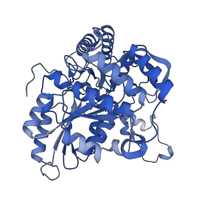 22605_7k0o_B_v1-1
Human serine palmitoyltransferase complex SPTLC1/SPLTC2/ssSPTa/ORMDL3, class 3