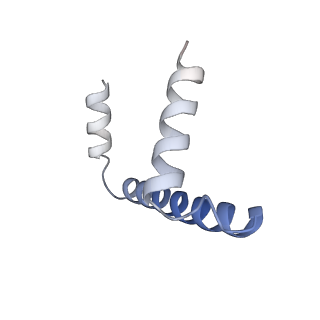 22605_7k0o_C_v1-1
Human serine palmitoyltransferase complex SPTLC1/SPLTC2/ssSPTa/ORMDL3, class 3