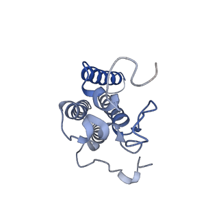 22605_7k0o_D_v1-1
Human serine palmitoyltransferase complex SPTLC1/SPLTC2/ssSPTa/ORMDL3, class 3