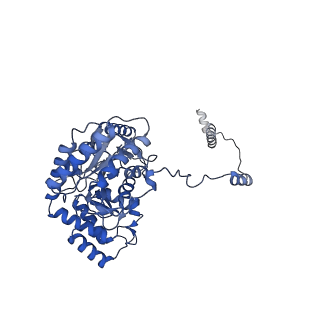 22605_7k0o_E_v1-1
Human serine palmitoyltransferase complex SPTLC1/SPLTC2/ssSPTa/ORMDL3, class 3