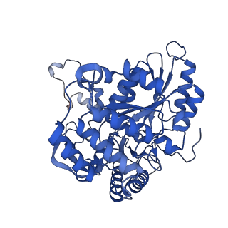 22605_7k0o_F_v1-1
Human serine palmitoyltransferase complex SPTLC1/SPLTC2/ssSPTa/ORMDL3, class 3