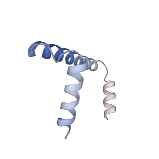 22605_7k0o_G_v1-1
Human serine palmitoyltransferase complex SPTLC1/SPLTC2/ssSPTa/ORMDL3, class 3