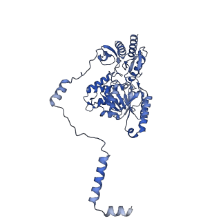 22606_7k0p_A_v1-1
Human serine palmitoyltransferase complex SPTLC1/SPLTC2/ssSPTa/ORMDL3, class 4