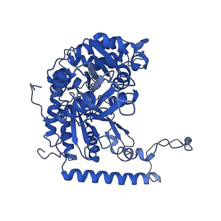 22606_7k0p_B_v1-1
Human serine palmitoyltransferase complex SPTLC1/SPLTC2/ssSPTa/ORMDL3, class 4