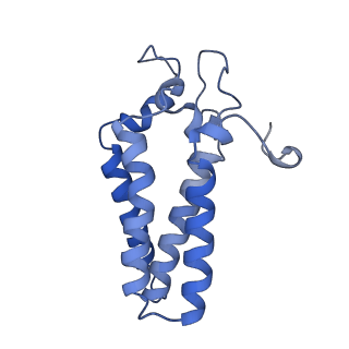 22606_7k0p_D_v1-1
Human serine palmitoyltransferase complex SPTLC1/SPLTC2/ssSPTa/ORMDL3, class 4