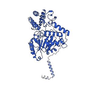 22606_7k0p_E_v1-1
Human serine palmitoyltransferase complex SPTLC1/SPLTC2/ssSPTa/ORMDL3, class 4