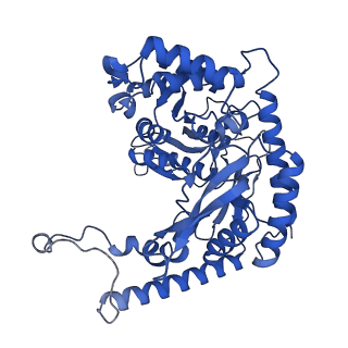 22606_7k0p_F_v1-1
Human serine palmitoyltransferase complex SPTLC1/SPLTC2/ssSPTa/ORMDL3, class 4