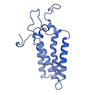 22606_7k0p_H_v1-1
Human serine palmitoyltransferase complex SPTLC1/SPLTC2/ssSPTa/ORMDL3, class 4