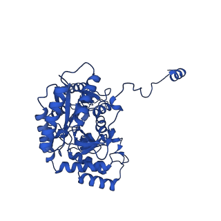 22608_7k0q_A_v1-1
Human serine palmitoyltransferase complex SPTLC1/SPLTC2/ssSPTa/ORMDL3, myriocin-bound