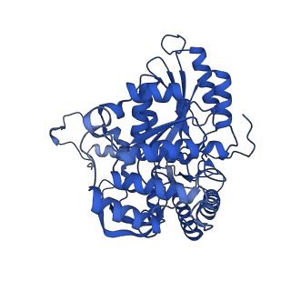 22608_7k0q_B_v1-1
Human serine palmitoyltransferase complex SPTLC1/SPLTC2/ssSPTa/ORMDL3, myriocin-bound