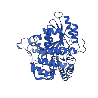 22608_7k0q_B_v1-2
Human serine palmitoyltransferase complex SPTLC1/SPLTC2/ssSPTa/ORMDL3, myriocin-bound