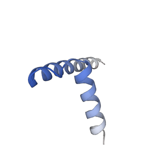 22608_7k0q_C_v1-2
Human serine palmitoyltransferase complex SPTLC1/SPLTC2/ssSPTa/ORMDL3, myriocin-bound