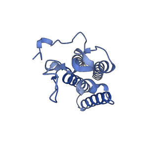 22608_7k0q_D_v1-1
Human serine palmitoyltransferase complex SPTLC1/SPLTC2/ssSPTa/ORMDL3, myriocin-bound