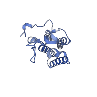 22608_7k0q_D_v1-2
Human serine palmitoyltransferase complex SPTLC1/SPLTC2/ssSPTa/ORMDL3, myriocin-bound