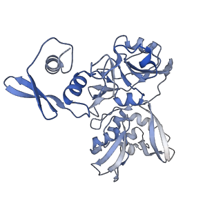 22610_7k0r_A_v1-2
Nucleotide bound SARS-CoV-2 Nsp15