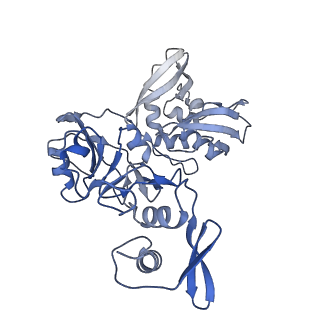 22610_7k0r_B_v1-2
Nucleotide bound SARS-CoV-2 Nsp15