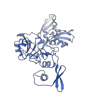 22610_7k0r_B_v1-3
Nucleotide bound SARS-CoV-2 Nsp15