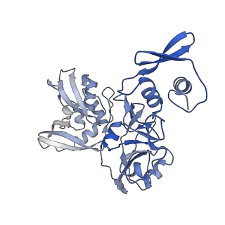 22610_7k0r_C_v1-2
Nucleotide bound SARS-CoV-2 Nsp15