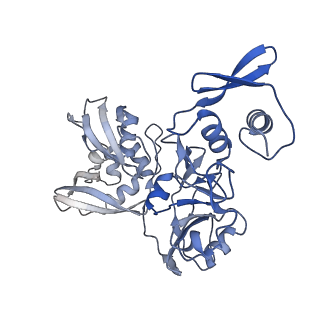 22610_7k0r_C_v1-3
Nucleotide bound SARS-CoV-2 Nsp15