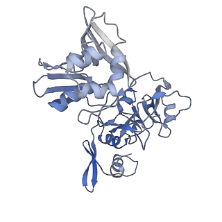 22610_7k0r_E_v1-2
Nucleotide bound SARS-CoV-2 Nsp15