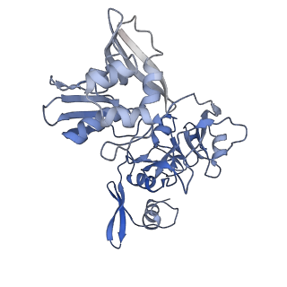 22610_7k0r_E_v1-3
Nucleotide bound SARS-CoV-2 Nsp15