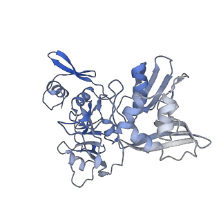 22610_7k0r_F_v1-2
Nucleotide bound SARS-CoV-2 Nsp15