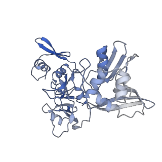 22610_7k0r_F_v1-3
Nucleotide bound SARS-CoV-2 Nsp15