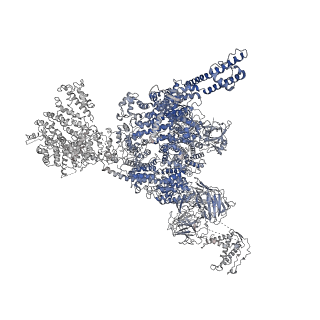 22615_7k0s_A_v2-1
Cryo-EM structure of rabbit RyR1 in the presence of Mg2+ and AMP-PCP in nanodisc