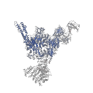 22615_7k0s_B_v1-0
Cryo-EM structure of rabbit RyR1 in the presence of Mg2+ and AMP-PCP in nanodisc
