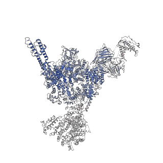 22615_7k0s_B_v2-0
Cryo-EM structure of rabbit RyR1 in the presence of Mg2+ and AMP-PCP in nanodisc
