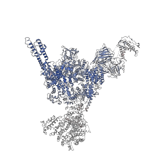 22615_7k0s_B_v2-1
Cryo-EM structure of rabbit RyR1 in the presence of Mg2+ and AMP-PCP in nanodisc