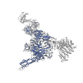 22615_7k0s_D_v1-0
Cryo-EM structure of rabbit RyR1 in the presence of Mg2+ and AMP-PCP in nanodisc