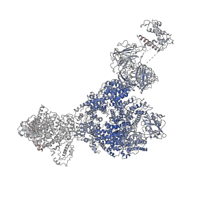22616_7k0t_A_v1-0
Cryo-EM structure of rabbit RyR1 in the presence of AMP-PCP in nanodisc