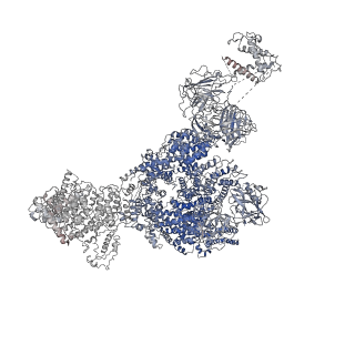 22616_7k0t_A_v2-1
Cryo-EM structure of rabbit RyR1 in the presence of AMP-PCP in nanodisc