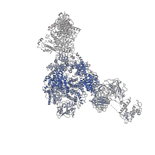 22616_7k0t_B_v2-1
Cryo-EM structure of rabbit RyR1 in the presence of AMP-PCP in nanodisc